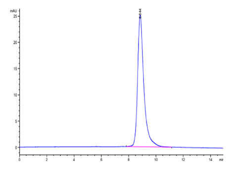 Recombinant Human IL-17RB Protein