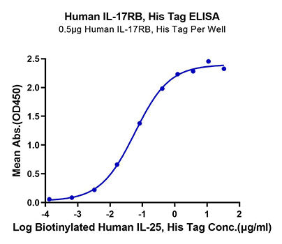Recombinant Human IL-17RB Protein