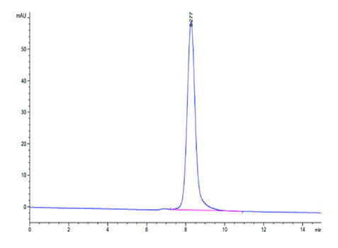 Recombinant Cynomolgus LILRA4/ILT-7/CD85g Protein