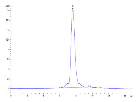 Recombinant Cynomolgus TROP-2/TACSTD2 Protein