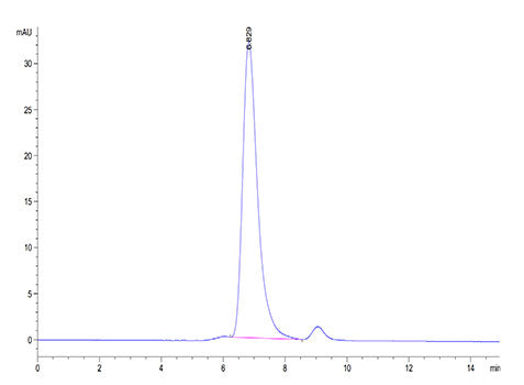 Recombinant Human HLA-G Complex Tetramer Protein