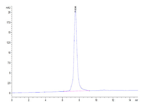 Recombinant Human LRRC15/LIB Protein