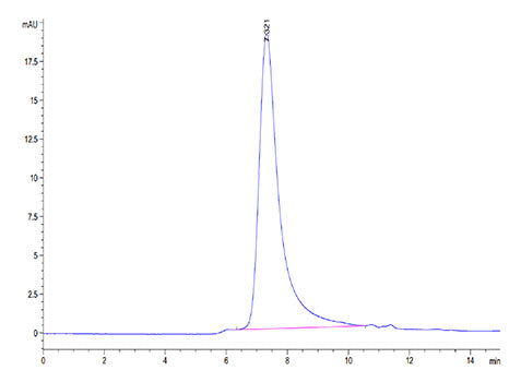 Recombinant Human KIR3DL2/CD158k Protein