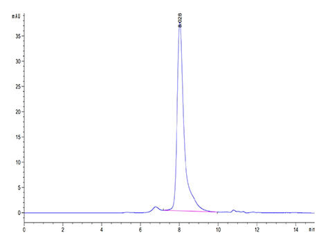 Recombinant Human Notch 3 Protein