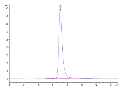 Recombinant Human LILRA4/ILT-7/CD85g Protein