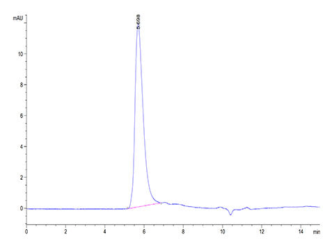 Recombinant Human Integrin alpha V beta 6 (ITGAV&ITGB6) Heterodimer Protein