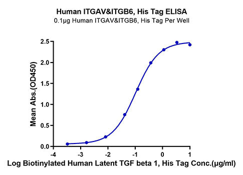 Recombinant Human Integrin alpha V beta 6 (ITGAV&ITGB6) Heterodimer Protein