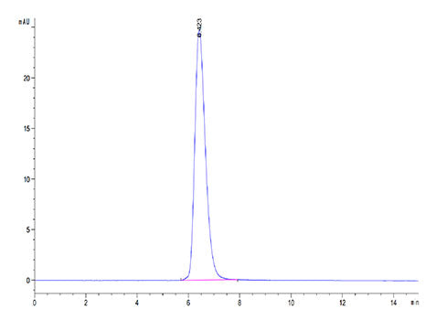 Recombinant Canine CD28 Protein