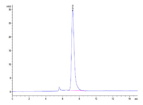 Recombinant Mouse TNFRSF7/CD27 Protein