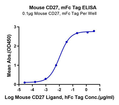 Recombinant Mouse TNFRSF7/CD27 Protein