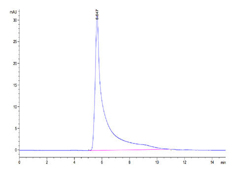 Recombinant Mouse CCL5/RANTES Protein