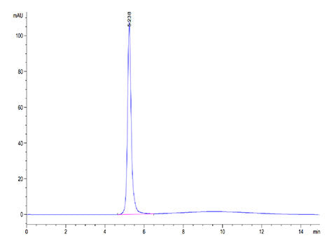 Recombinant Cynomolgus Fibrinogen like 1/FGL1 Protein