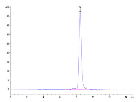 Recombinant Cynomolgus IL-23A&Mouse IL-12B Protein