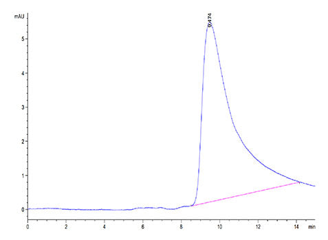 Recombinant Cynomolgus CLEC12A/MICL/CLL-1 Protein