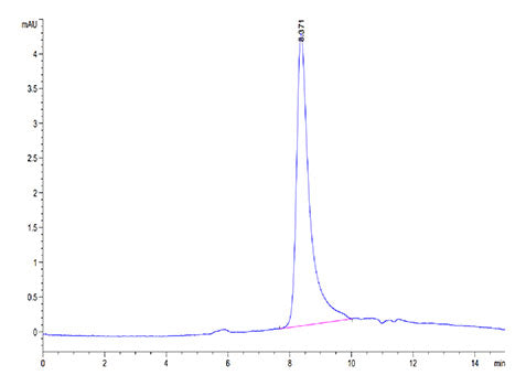 Recombinant Cynomolgus IL-31 Protein