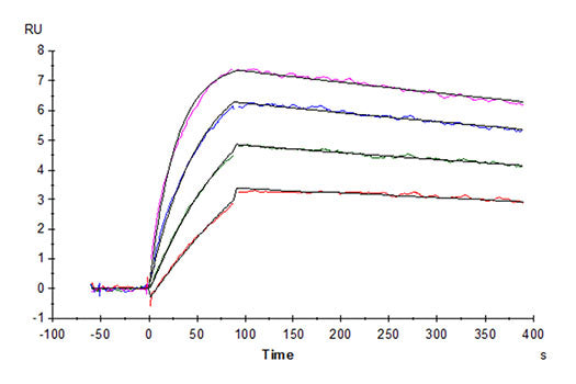 Recombinant Cynomolgus IL-31 Protein