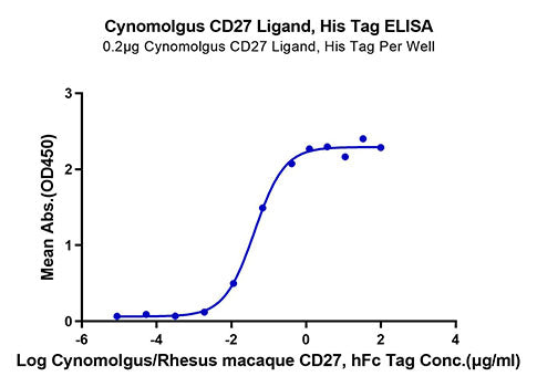 Recombinant Cynomolgus TNFSF7/CD27 Ligand/CD70 Protein