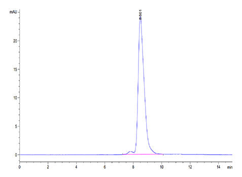 Recombinant Human ENPP-3(558-875) Protein