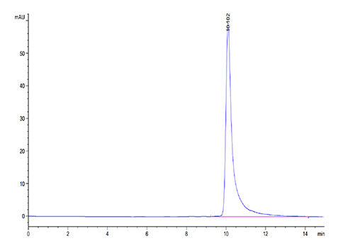 Recombinant Human MARCO Protein