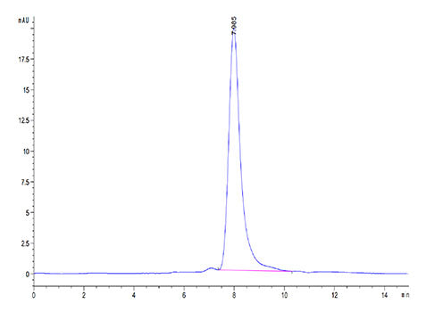 Recombinant Mouse MARCO Protein