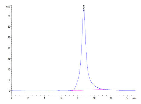 Recombinant Mouse MME/Neprilysin/CD10 Protein