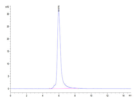 Recombinant Human PSMA/FOLH1 Protein