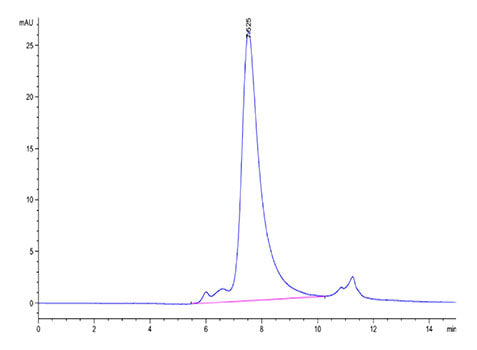 Recombinant Human NKp46/NCR1/CD335 Protein