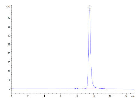 Recombinant Human ENPP-3(48-157) Protein