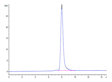Recombinant Human RNF43 Protein