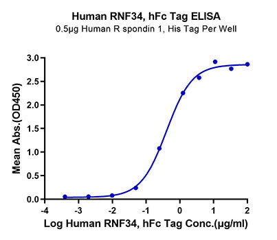 Recombinant Human RNF43 Protein