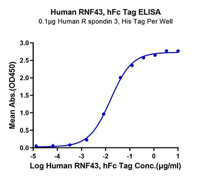 Recombinant Human RNF43 Protein