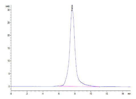 Recombinant Mouse CLEC9A/CD370 Protein