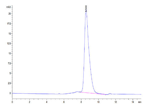 Recombinant Mouse GPVI Protein