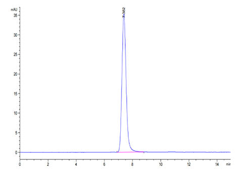 Recombinant Human IGF2R/CD222 Protein