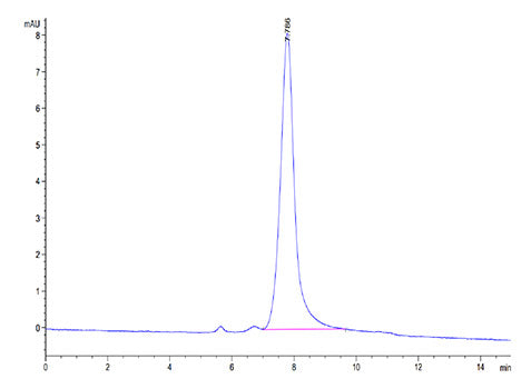 Recombinant Mouse Osteopontin/SPP-1 Protein