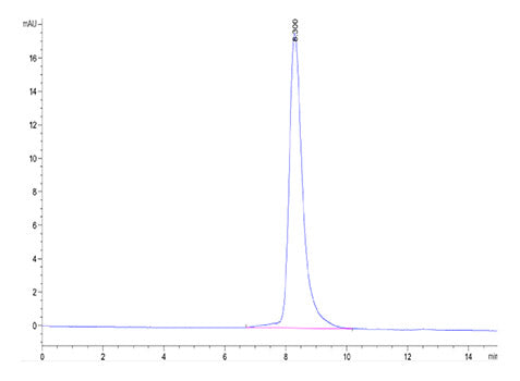 Recombinant Mouse GAS-6 Protein