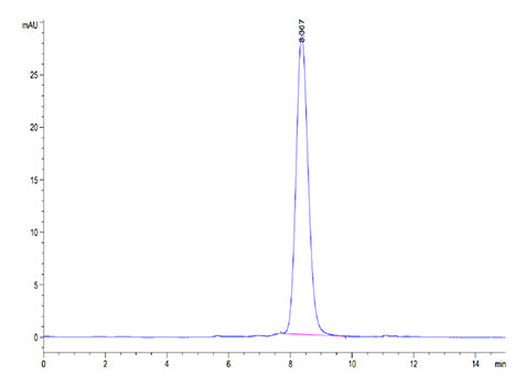 Recombinant Mouse FSH Beta Protein