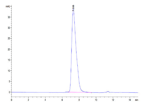Recombinant Human Glycophorin-A/GYPA/CD235a protein