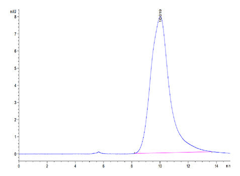 Recombinant Human Plasma Kallikrein/KLKB1 Protein