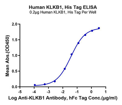 Recombinant Human Plasma Kallikrein/KLKB1 Protein