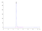 Recombinant Human Claudin-4 Protein