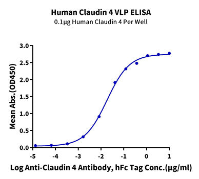 Recombinant Human Claudin-4 Protein