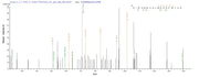 Based on the SEQUEST from database of E.coli host and target protein, the LC-MS/MS Analysis result of RPC24233 could indicate that this peptide derived from E.coli-expressed Homo sapiens (Human) ERBB2.