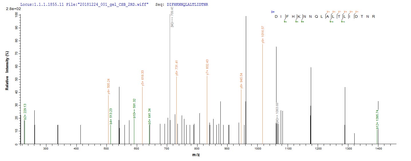 Based on the SEQUEST from database of E.coli host and target protein, the LC-MS/MS Analysis result of RPC24233 could indicate that this peptide derived from E.coli-expressed Homo sapiens (Human) ERBB2.