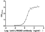 Measured by its binding ability in a functional ELISA. Immobilized Human LY6G6D at 2 μg/mL can bind Anti-LY6G6D recombinant antibody, the EC50 is 2.816-3.741 ng/mL.