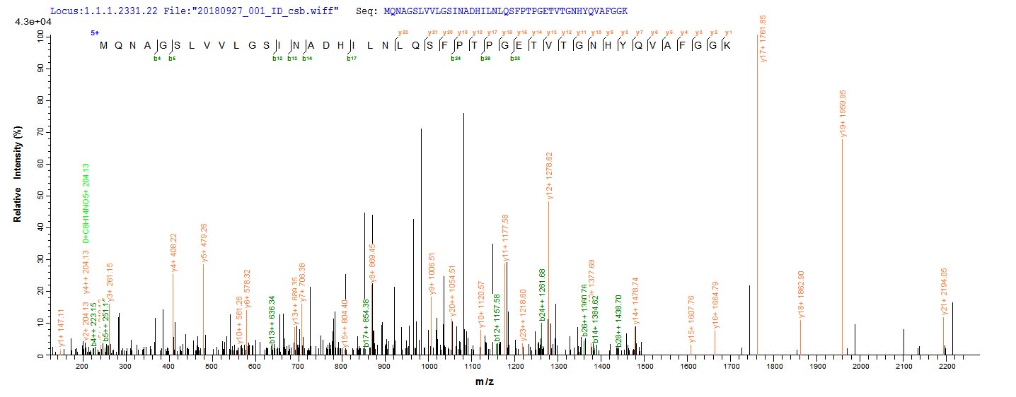 Based on the SEQUEST from database of E.coli host and target protein, the LC-MS/MS Analysis result of RPC25599 could indicate that this peptide derived from E.coli-expressed