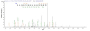 Based on the SEQUEST from database of E.coli host and target protein, the LC-MS/MS Analysis result of RPC25773 could indicate that this peptide derived from E.coli-expressed Shigella flexneri grxD.