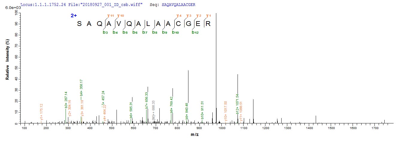 Based on the SEQUEST from database of E.coli host and target protein, the LC-MS/MS Analysis result of RPC25773 could indicate that this peptide derived from E.coli-expressed Shigella flexneri grxD.