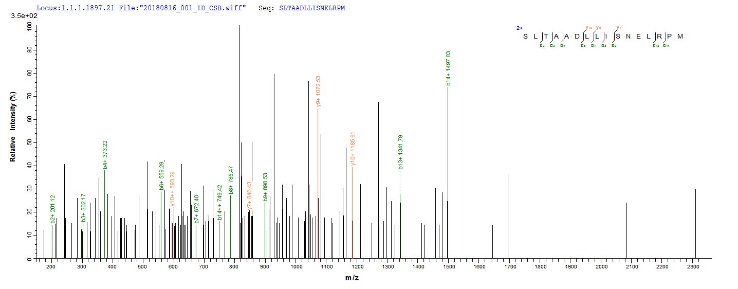 Based on the SEQUEST from database of E.coli host and target protein, the LC-MS/MS Analysis result of RPC25778 could indicate that this peptide derived from E.coli-expressed