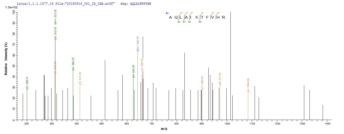 Based on the SEQUEST from database of E.coli host and target protein, the LC-MS/MS Analysis result of RPC25780 could indicate that this peptide derived from E.coli-expressed